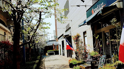 Radice French Restaurant 사진 4