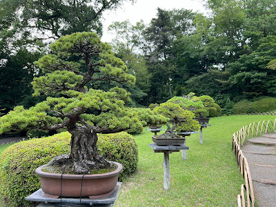 메이지 신궁 격운정 사진 5