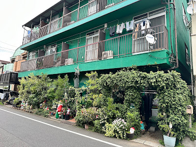 Poluka Cafe 사진 5