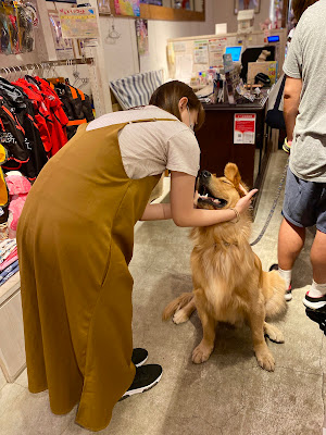 Dog Dept + Cafe Odaiba Tokyo Beach Shop 사진 4