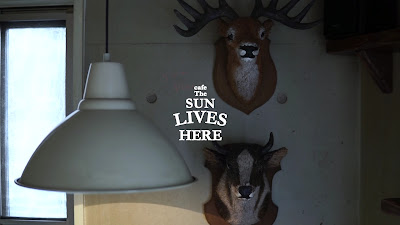 cafe The SUN LIVES HERE 사진 2