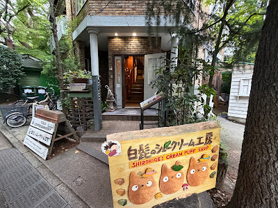 TOLO COFFEE AND BAKERY 사진 3