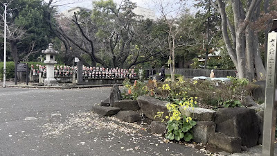 Tera Cafe Shien Zojo ji 사진 2