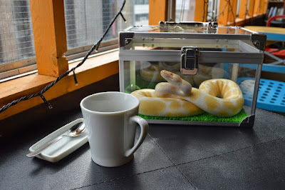Tokyo Snake Center ~Cafe & Snake~ 사진 3