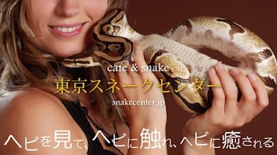 Tokyo Snake Center ~Cafe & Snake~ 사진 4
