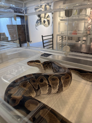 Tokyo Snake Center ~Cafe & Snake~ 사진 5