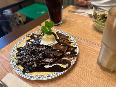 ビーグル 사진 5