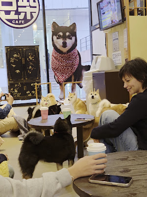 Harajuku Mame Shiba Cafe 사진 3