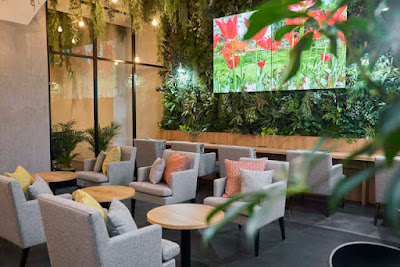Cafe lounge AOU GINZAnoMORI 사진 2