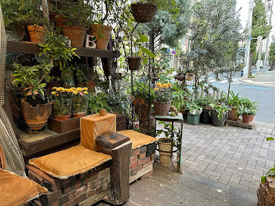 Comorebi cafe 사진 4