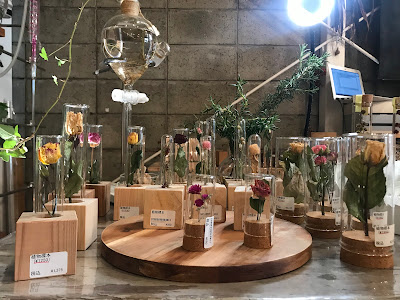 苔テラリウムワークショップ専門店（Terrariums）リカシツ 清澄白河店 사진 4