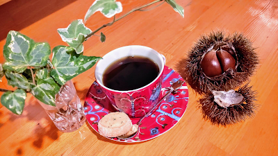 Yotsuya Coffee 사진 3