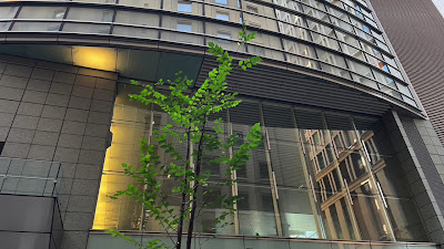 Starbucks Coffee - Marunouchi Oazo 사진 2