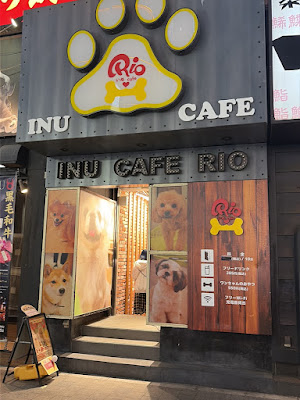 Dog Cafe Rio in SHINJUKU 사진 3