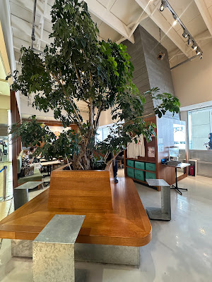 Pacific BAKE HOUSE 사진 3