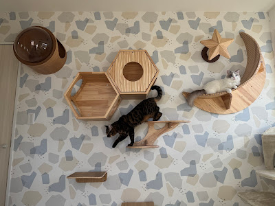 Shioyume Renovation Cafe 사진 4