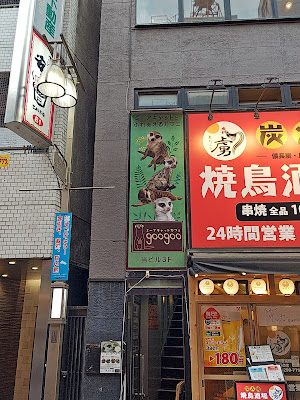 Meerkat Café googoo 사진 3
