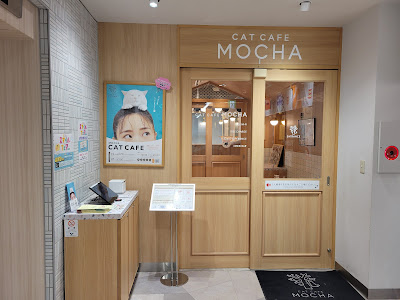 고양이 카페 MOCHA 키치죠지점 사진 3
