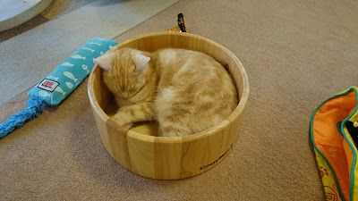 Calico Kichijoji 사진 2