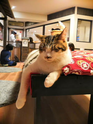 Calico Kichijoji 사진 4
