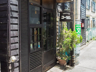 COFFEE Coral 사진 5