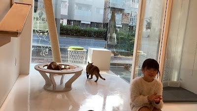 100% Neko 사진 3
