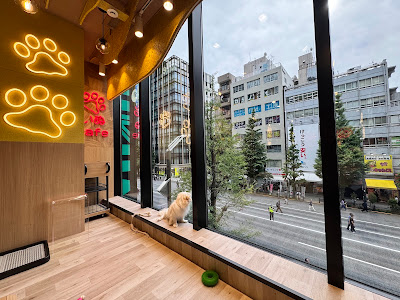 Dog Cafe Rio in AKIHABARA 사진 2