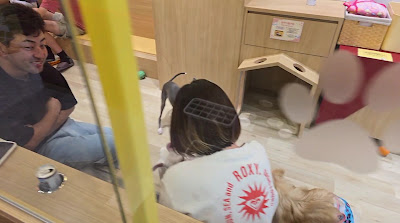Dog Cafe Rio in AKIHABARA 사진 3