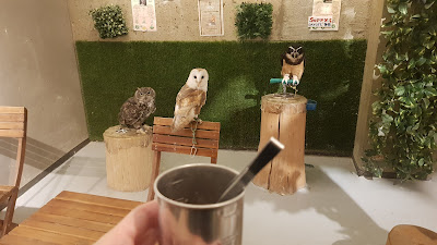 Owl's Nest Cafe 사진 3