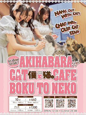 Cat Cafe BOKUTONEKO 사진 3