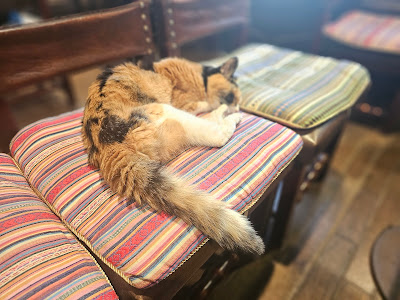 ル・プリーベ 사진 4