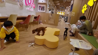 いぬカフェRio浅草店 사진 2