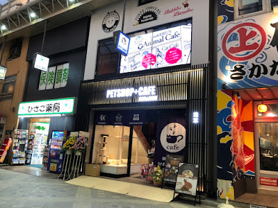 Usagikafe Usagiparadaisu Asakusaten 사진 4