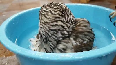 Owlpark ikebukuro 사진 2