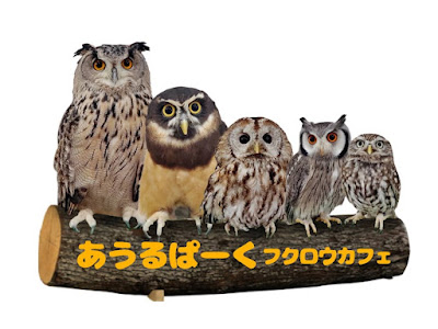 Owlpark ikebukuro 사진 3