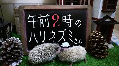 午前2時のハリネズミさん 사진 3