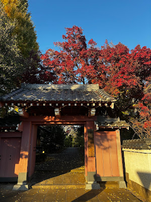 カフェテラス回向院 사진 5
