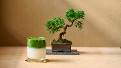HIIRAGI Ginza 사진 5