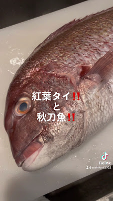 Sushi Fumi 사진 2