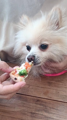 Pizzeria Robertino 사진 2