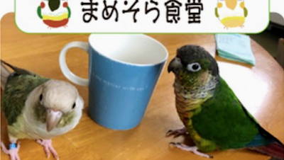 まめそら食堂 사진 5