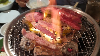 Shibaura 사진 2