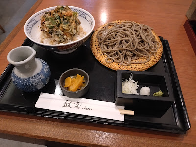 kodo 사진 4