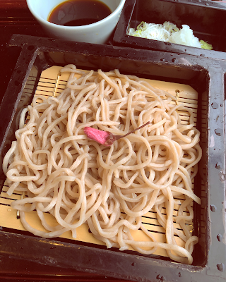 kodo 사진 3