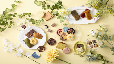 BEL AMER Futako-Tamagawa Store 사진 3