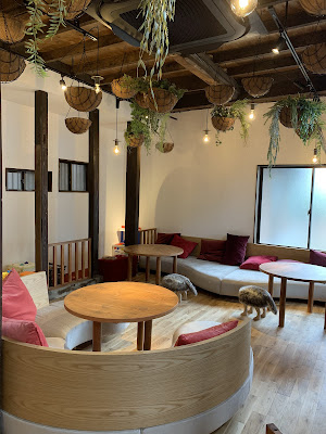 MamaPlus Cafe 사진 2