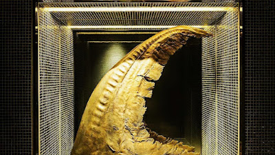 Gold Fin Kamonka Shimbashi 사진 4
