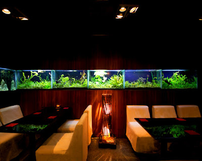 熱帯魚のいるbar SALVACION（サルバシオン）人形町 사진 2