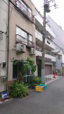 Taro 사진 2