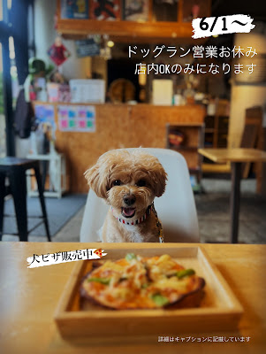 ダイニングカフェTGH 사진 2